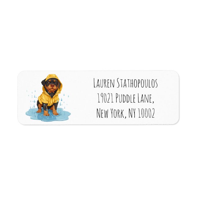 Cute Rottweiler Dog Wearing Raincoat (Front)