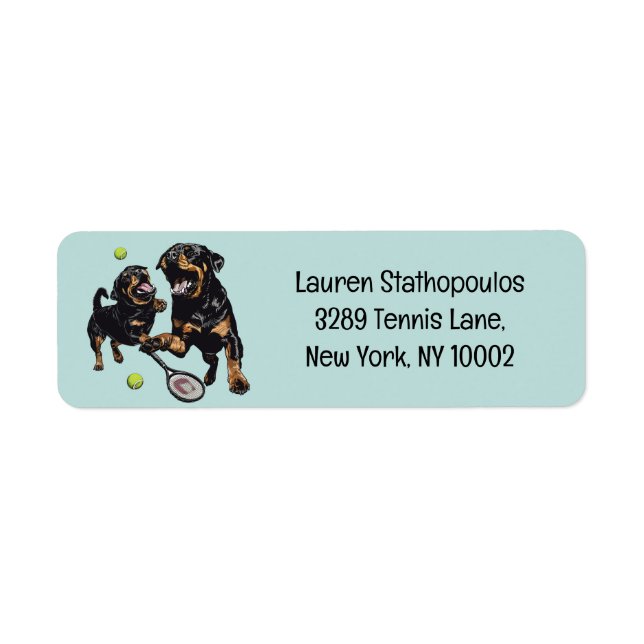 Cute Rottweiler Dogs Playing Tennis (Front)