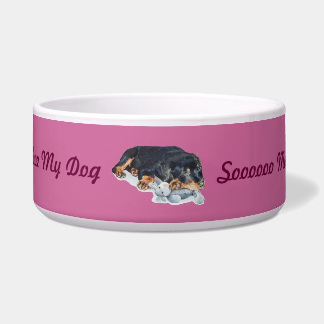 cute rottweiler puppy dog cuddling teddy (Front)