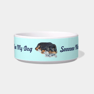 cute rottweiler puppy dog cuddling teddy bear art bowl
