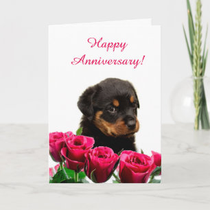 Cute Rottweiler Puppy Rose Anniversary Card