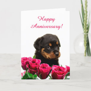 Cute Rottweiler Puppy Rose Anniversary Card