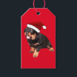 Cute Rottweiler Puppy Wearing Cartoon Santa Hat Gift Tags<br><div class="desc">Cute Rottweiler Puppy Wearing Cartoon Santa Hat features a rottie puppy wearing a festive hat and a geeky smile. Endearing: sigh in adoration. Ideal for any rottweiler lover, rottweiler family, or friend who loves adorable, geeky-looking dogs with a cuteness overload! Spread holiday cheer with your Rottweiler, enjoy holiday treats, and...</div>