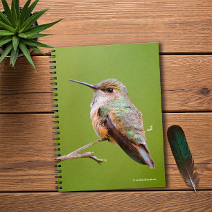 Cute Rufous Hummingbird on California Lilac Spiral Notebook