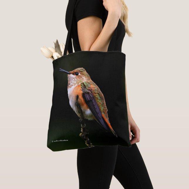 Cute Rufous Hummingbird on Fruit Tree Tote Bag (Close Up)