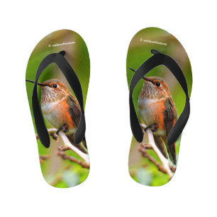 Cute Rufous Hummingbird on Plum Tree Branch Kid's Jandals