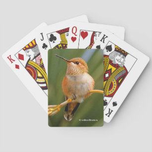 Cute Rufous Hummingbird Perched on Flower Playing Cards