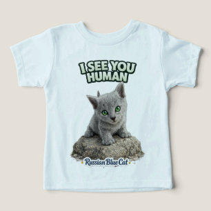 Cute Russian Blue Kitten – Cat Lover Family