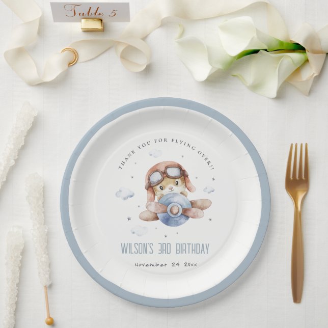 Cute Rust Navy Kids Plane Stars Sky Teddy Birthday Paper Plate (Wedding)
