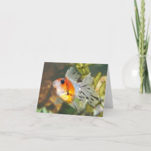 Cute ryukin goldfish Note Cards