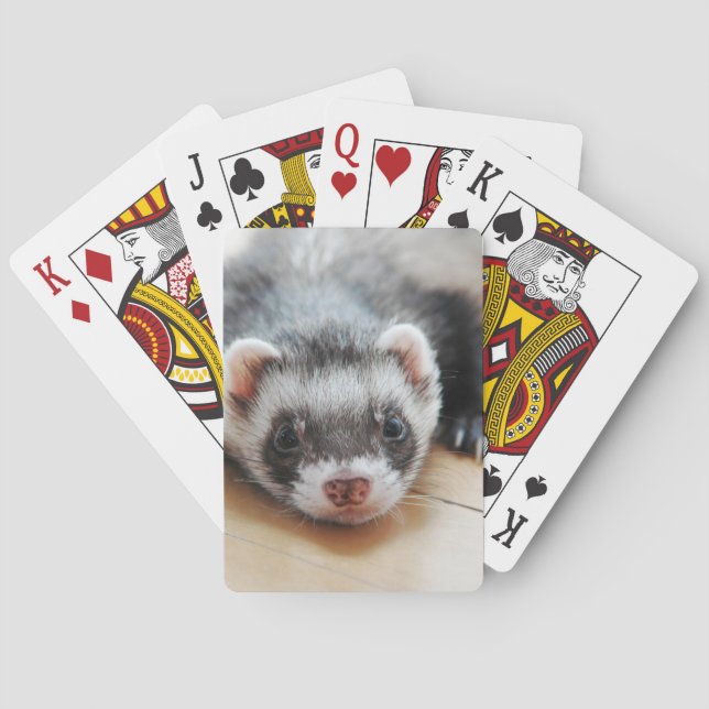 Cute Sable Ferret Playing Cards (Back)