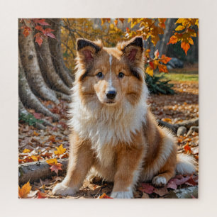 Cute Sable Rough Collie Puppy in Autumn Leaves Jigsaw Puzzle