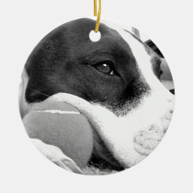 cute sad looking pitbull dog black white with ball ceramic tree decoration (Front)