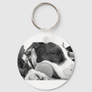 cute sad looking pitbull dog black white with ball key ring
