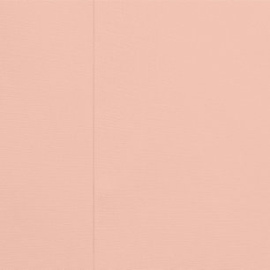 Cute Safari Monkey/Lion Wallpaper