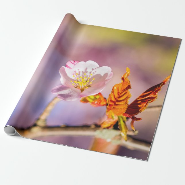 Cute Sakura Flower Wrapping Paper (Unrolled)