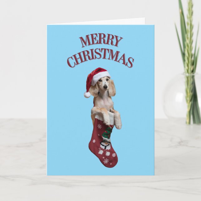 Cute Saluki Dog Christmas Card (Front)