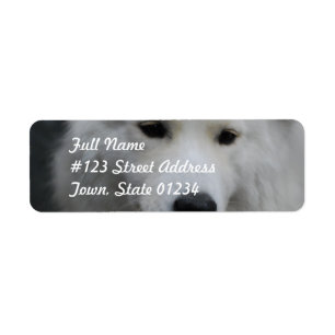 Cute Samoyed Mailing Labels