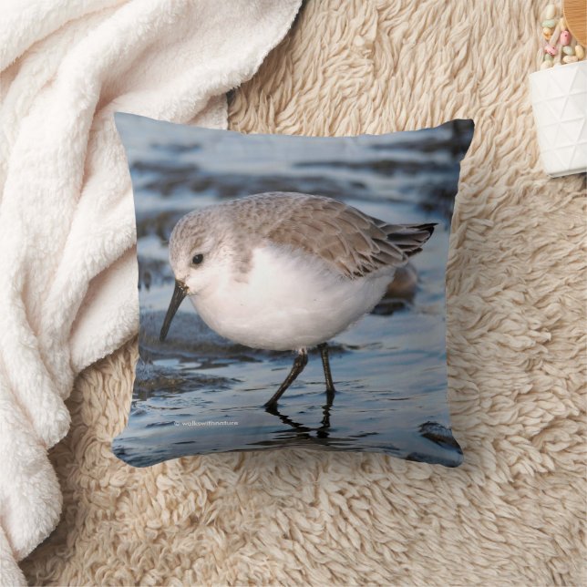 Cute Sanderling Sandpiper at the Winter Beach Cushion (Blanket)