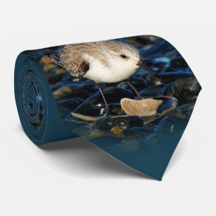 Cute Sanderling Shorebird Dines on Clam at Beach Tie