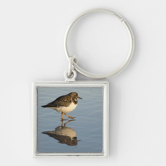 Cute Sandpiper Bird Keychain (Front)