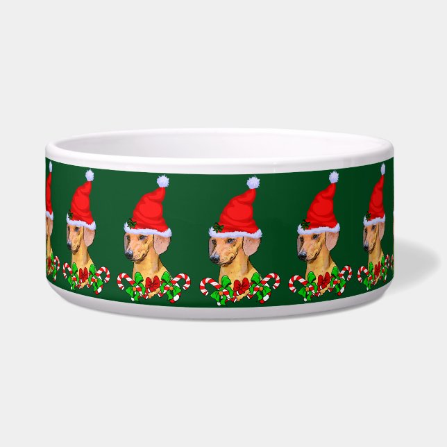 Cute Santa Dachshund Christmas  (Front)