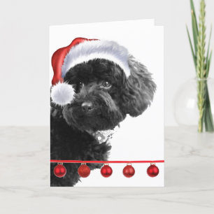 Cute Santa Dog l Holiday Custom Greeting Card