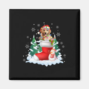 Cute Santa Golden Retriever In Christmas Socks Dog Magnet
