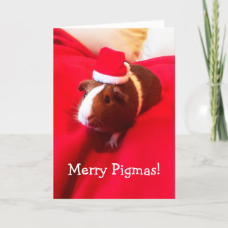 Cute Santa Guinea Pig Christmas Holiday Card