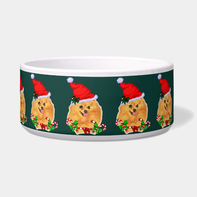 Cute Santa Pomeranian Christmas (Front)