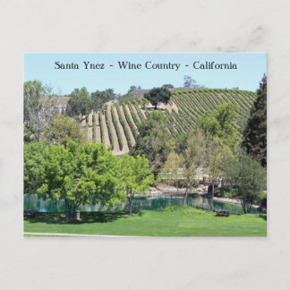 Cute Santa Ynez Wine Country Postcard! Postcard