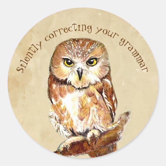 Cute Saw Whet Owl, Bird Correcting Grammar Quote  Classic Round Sticker (Front)