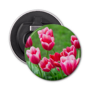 Cute scarlet tulips in the garden bottle opener