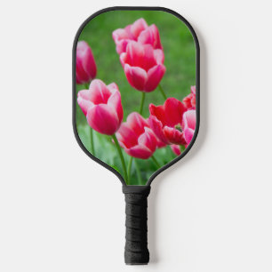 Cute scarlet tulips in the garden pickleball paddle