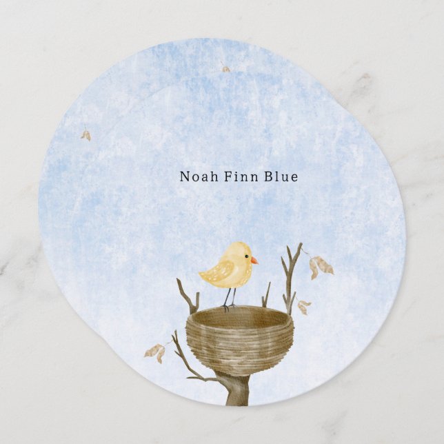 Cute Scene With Little Baby Bird In A Bird's Nest Invitation (Front/Back)