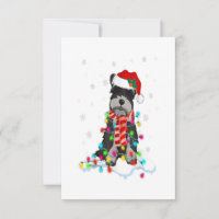 Cute Schnauzer Christmas Lights With Santa Hat
