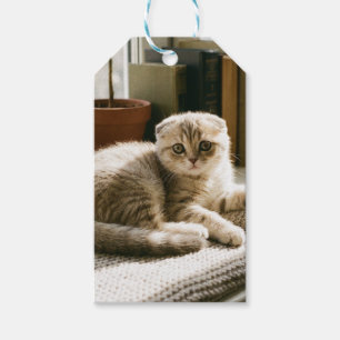 Cute Scottish Fold Cat Gift Tags - Cosy Cat Lover