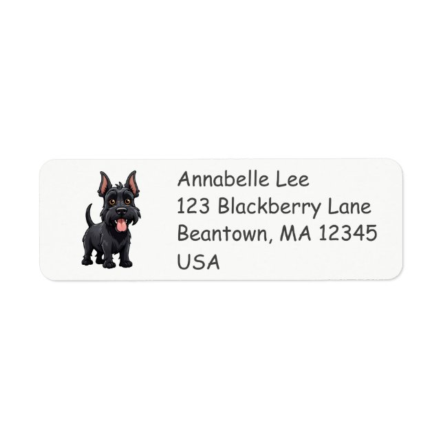 Cute Scottish Terrier (Front)