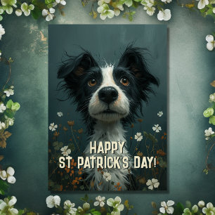 Cute Scruffy Dog and Shamrocks St Patrick's Day Card