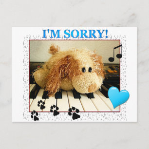 Cute scruffy dog I'm Sorry Postcard