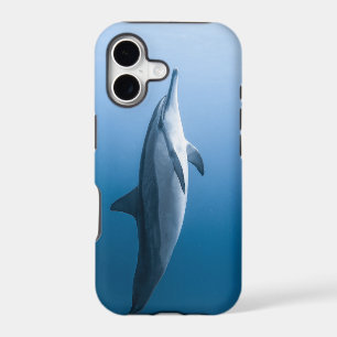 Cute Sea Dolphin