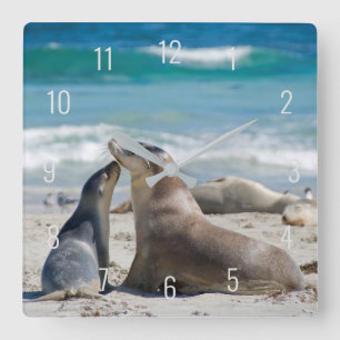 Cute Sea Lion & Baby Pup Beach Australia Square Wa Wall Clock