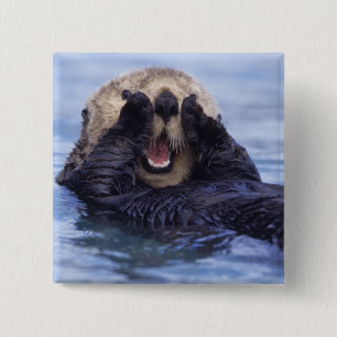 Cute Sea Otter Alaska, USA 15 Cm Square Badge