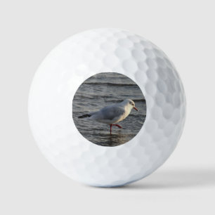 Cute Seagull Golf Balls