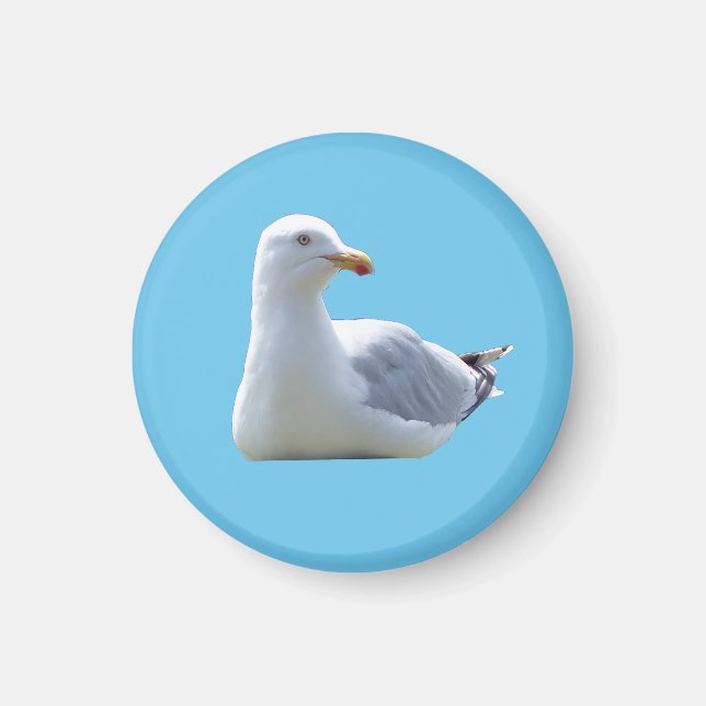 Cute Seagull Resting Calm Blue Coastal Scene Round Magnet (Front)