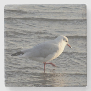 Cute Seagull Stone Coaster