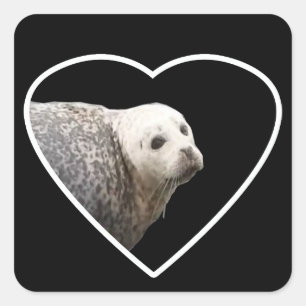 Cute Seal Sticker