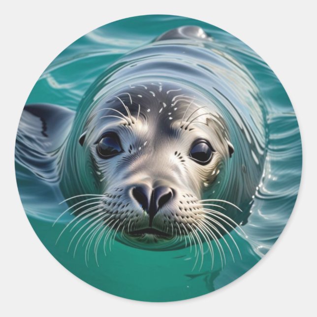 Cute Seal Sticking his Head out of Water (Front)