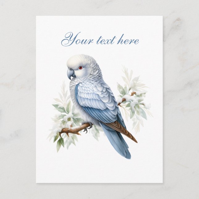 Cute Seasonal Winter bird add text  Postcard (Front)