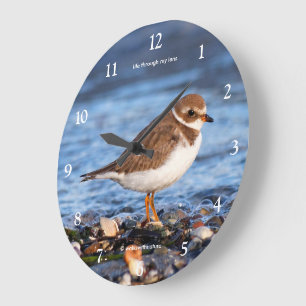 Cute Semipalmated Plover Sandpiper Shorebird Large Clock